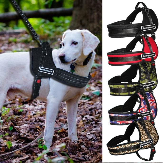 ALL-IN-ONE NO PULL DOG HARNESS