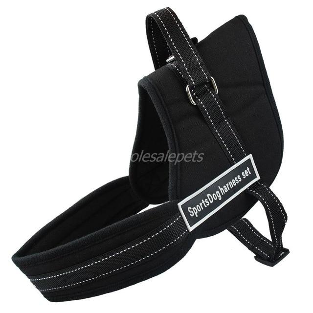 ALL-IN-ONE NO PULL DOG HARNESS